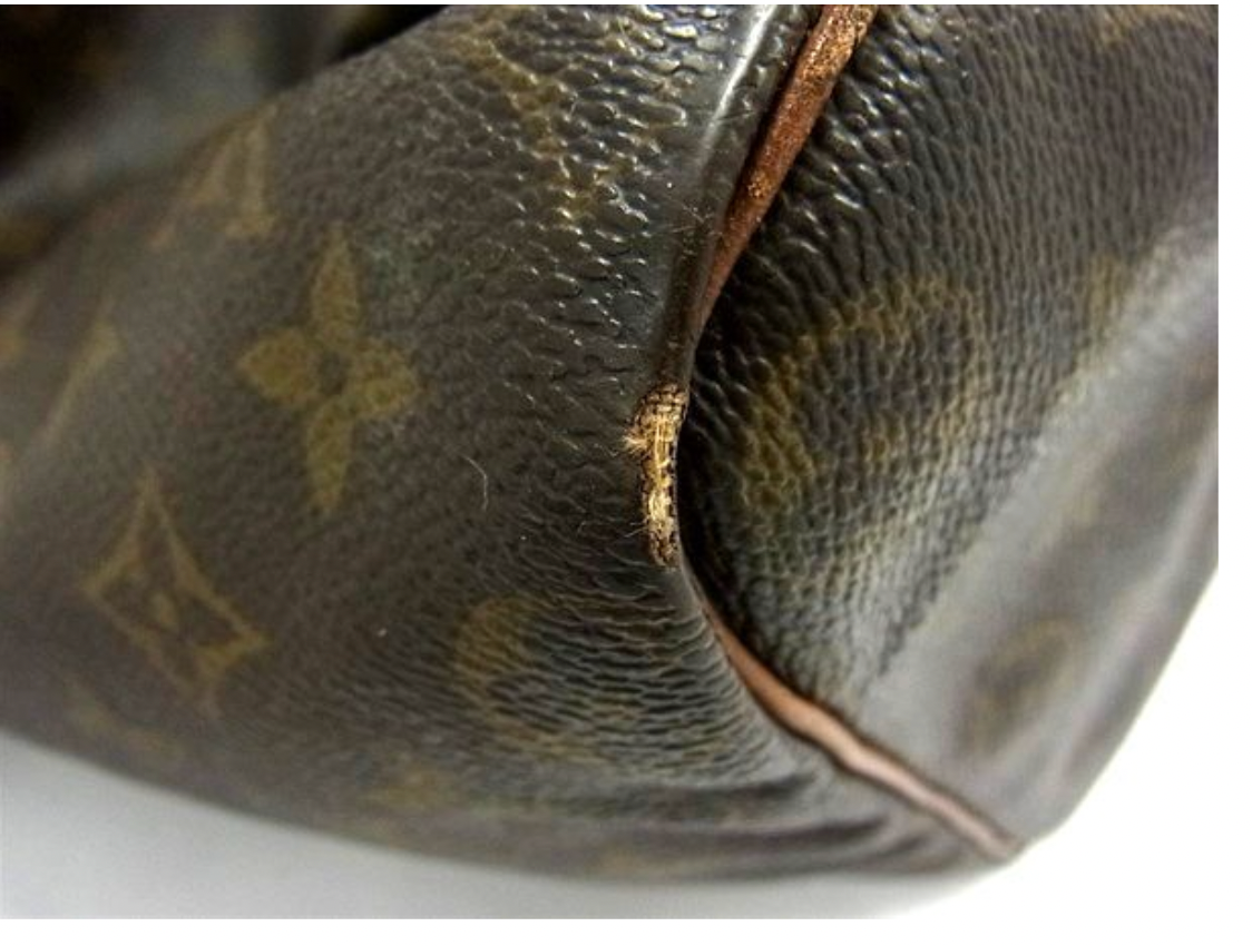 Louis Vuitton Speedy 40 in Monogram canvas